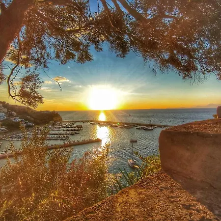 Il Colore Dei Sogni *